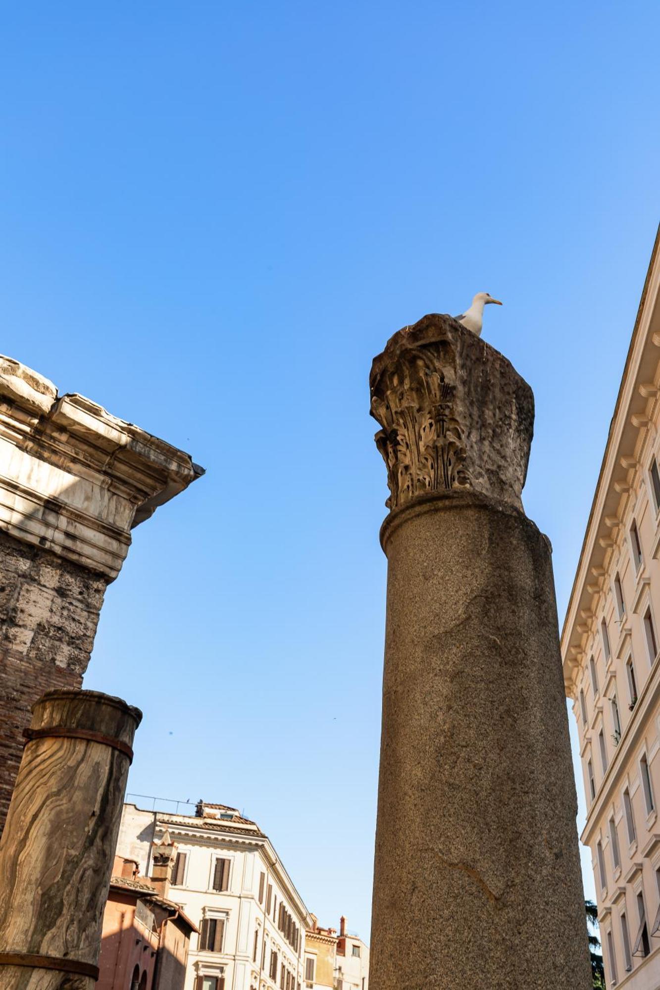 Campitelli 9 - Loft In Ancient Rome 아파트 외부 사진